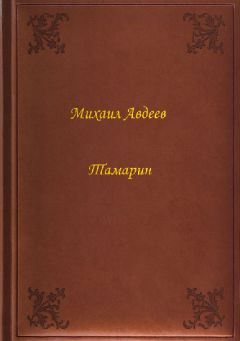 Михаил Авдеев - Тамарин - Читать | Читать онлайн | Читаемые книги читать онлайн бесплатно | booksread-online.com