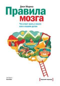 Джон Медина - Правила мозга. Что стоит знать о мозге вам и вашим детям - Читать 📖 Читать онлайн 👀 Читаемые книги читать онлайн бесплатно 🔥 booksread-online.com