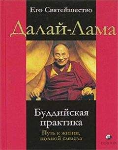 Далай-лама XIV - Буддийская практика. Путь к жизни полной смысла - Читать 📖 Читать онлайн 👀 Читаемые книги читать онлайн бесплатно 🔥 booksread-online.com