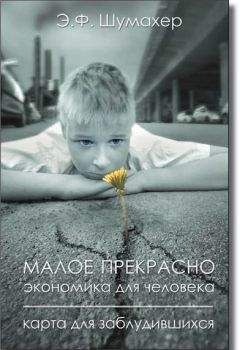 Эрнст Шумахер - Малое прекрасно. Экономика для человека. Карта для заблудившихся. - Читать 📖 Читать онлайн 👀 Читаемые книги читать онлайн бесплатно 🔥 booksread-online.com