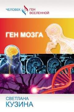 Светлана Кузина - Ген мозга - Читать 📖 Читать онлайн 👀 Читаемые книги читать онлайн бесплатно 🔥 booksread-online.com
