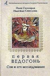 Александр Шевцов (Андреев, Саныч, Скоморох) - Первая Ведогонь - Читать 📖 Читать онлайн 👀 Читаемые книги читать онлайн бесплатно 🔥 booksread-online.com