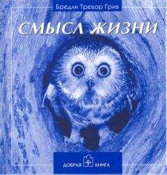 Бредли Грив - Смысл жизни - Читать 📖 Читать онлайн 👀 Читаемые книги читать онлайн бесплатно 🔥 booksread-online.com