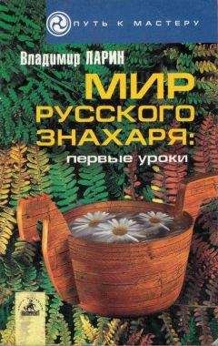 Владимир Ларин - Мир русского знахаря - первые уроки. - Читать 📖 Читать онлайн 👀 Читаемые книги читать онлайн бесплатно 🔥 booksread-online.com