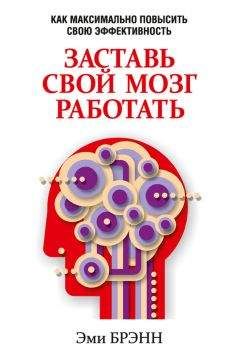 Эми Брэнн - Заставь свой мозг работать. Как максимально повысить свою эффективность - Читать 📖 Читать онлайн 👀 Читаемые книги читать онлайн бесплатно 🔥 booksread-online.com