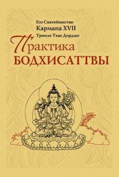 Тринле Тхае Дордже Кармапа XVII - Практика Бодхисаттвы - Читать | Читать онлайн | Читаемые книги читать онлайн бесплатно | booksread-online.com