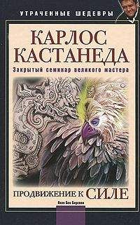 Яков Бирсави - Карлос Кастанеда. Закрытый семинар великого мастера. Продвижение к Силе - Читать | Читать онлайн | Читаемые книги читать онлайн бесплатно | booksread-online.com