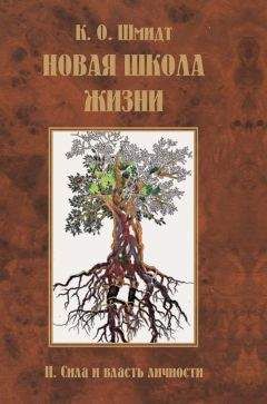 К. Шмидт - Новая школа жизни. II том. Сила и власть личности - Читать 📖 Читать онлайн 👀 Читаемые книги читать онлайн бесплатно 🔥 booksread-online.com