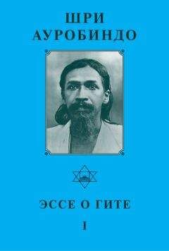 Шри Ауробиндо - Шри ауробиндо. Эссе о Гите – I - Читать 📖 Читать онлайн 👀 Читаемые книги читать онлайн бесплатно 🔥 booksread-online.com