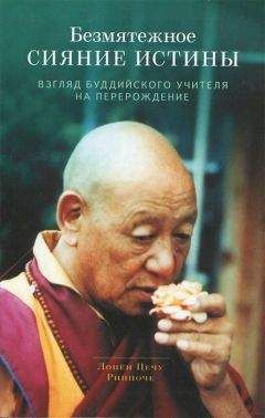 Лопён Ринпоче - Безмятежное сияние истины. Взгляд буддийского учителя на перерождение - Читать 📖 Читать онлайн 👀 Читаемые книги читать онлайн бесплатно 🔥 booksread-online.com
