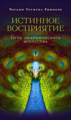 Чогьям Ринпоче - Истинное восприятие. Путь дхармического искусства - Читать 📖 Читать онлайн 👀 Читаемые книги читать онлайн бесплатно 🔥 booksread-online.com
