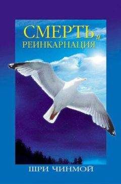 Чинмой Шри - Смерть и реинкарнация: Путешествие Вечности - Читать 📖 Читать онлайн 👀 Читаемые книги читать онлайн бесплатно 🔥 booksread-online.com