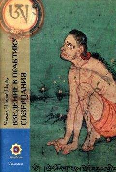 Намкай Ринпоче - Введение в практику созерцания - Читать 📖 Читать онлайн 👀 Читаемые книги читать онлайн бесплатно 🔥 booksread-online.com