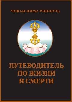 Чокьи Ринпоче - Путеводитель по жизни и смерти - Читать | Читать онлайн | Читаемые книги читать онлайн бесплатно | booksread-online.com