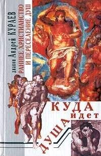 Андрей Кураев - Раннее христианство и переселение душ - Читать 📖 Читать онлайн 👀 Читаемые книги читать онлайн бесплатно 🔥 booksread-online.com