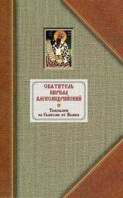Кирилл Александрийский - Толкование на Евангелие от Иоанна. Том I - Читать | Читать онлайн | Читаемые книги читать онлайн бесплатно | booksread-online.com