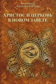 Протоиерей Александр - ХРИСТОС И ЦЕРКОВЬ В НОВОМ ЗАВЕТЕ - Читать 📖 Читать онлайн 👀 Читаемые книги читать онлайн бесплатно 🔥 booksread-online.com