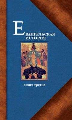 Протоиерей Павел Матвеевский - Евангельская история. Книга третья. Конечные события Евангельской истории - Читать 📖 Читать онлайн 👀 Читаемые книги читать онлайн бесплатно 🔥 booksread-online.com