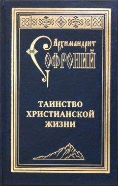 Софроний Сахаров - Таинство христианской жизни - Читать 📖 Читать онлайн 👀 Читаемые книги читать онлайн бесплатно 🔥 booksread-online.com