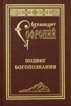 Софроний Сахаров - Подвиг богопознания. Письма с Афона (к Д. Бальфуру) - Читать 📖 Читать онлайн 👀 Читаемые книги читать онлайн бесплатно 🔥 booksread-online.com