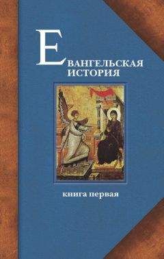 Протоиерей Павел Матвеевский - Евангельская история. Книга первая. События Евангельской истории начальные, преимущественно в Иерусалиме и Иудее - Читать 📖 Читать онлайн 👀 Читаемые книги читать онлайн бесплатно 🔥 booksread-online.com