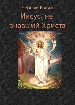 Вадим Черный - Иисус, не знавший Христа - Читать | Читать онлайн | Читаемые книги читать онлайн бесплатно | booksread-online.com