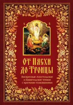 Николай Посадский - От Пасхи до Троицы. Воскресные Апостольские и Евангельские чтения с краткими толкованиями - Читать 📖 Читать онлайн 👀 Читаемые книги читать онлайн бесплатно 🔥 booksread-online.com