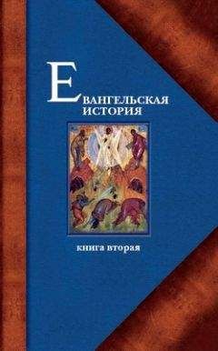 Протоиерей Павел Матвеевский - Евангельская история. Книга вторая. События Евангельской истории, происходившие преимущественно в Галилее - Читать 📖 Читать онлайн 👀 Читаемые книги читать онлайн бесплатно 🔥 booksread-online.com