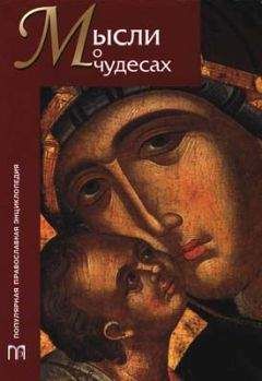 Стефан Остроумов - Мысли о чудесах - Читать | Читать онлайн | Читаемые книги читать онлайн бесплатно | booksread-online.com