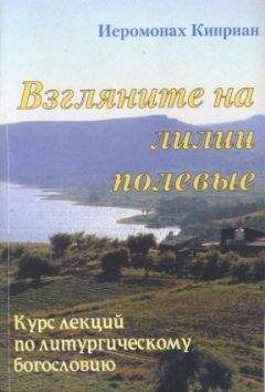 Киприан Керн - «Взгляните на лилии полевые…» Курс лекций по литургическому богословию - Читать | Читать онлайн | Читаемые книги читать онлайн бесплатно | booksread-online.com