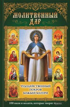 Павел Михалицын - Чудодейственный покров Божьей Матери. 100 икон и молитв, которые творят чудеса - Читать 📖 Читать онлайн 👀 Читаемые книги читать онлайн бесплатно 🔥 booksread-online.com