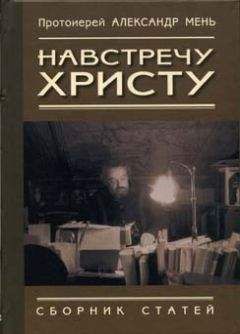 Протоиерей Александр Мень - Навстречу Христу. Сборник статей - Читать | Читать онлайн | Читаемые книги читать онлайн бесплатно | booksread-online.com
