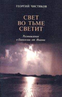 Священник Георгий Чистяков - Свет во тьме светит. Размышление о Евангелии от Иоанна - Читать | Читать онлайн | Читаемые книги читать онлайн бесплатно | booksread-online.com
