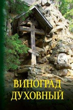О. Петруня - Виноград духовный. Сборник кратких поучений из Священного Писания и святоотеческих сочинений - Читать 📖 Читать онлайн 👀 Читаемые книги читать онлайн бесплатно 🔥 booksread-online.com