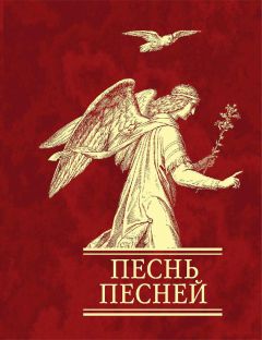 Священное Писание - Песнь песней - Читать 📖 Читать онлайн 👀 Читаемые книги читать онлайн бесплатно 🔥 booksread-online.com