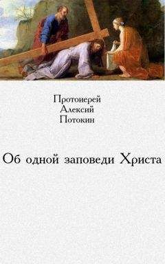 Алексий Потокин - Об одной заповеди Христа - Читать 📖 Читать онлайн 👀 Читаемые книги читать онлайн бесплатно 🔥 booksread-online.com