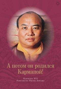 Рангджунг Ригпе Дордже Кармапа XVI - А потом он родился Кармапой! - Читать 📖 Читать онлайн 👀 Читаемые книги читать онлайн бесплатно 🔥 booksread-online.com