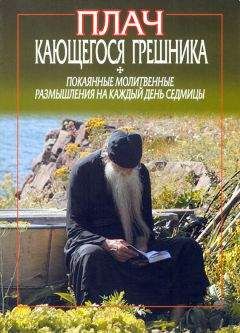 Фикара Афонский - Плач кающегося грешника. Покаянные молитвенные размышления на каждый день седмицы - Читать | Читать онлайн | Читаемые книги читать онлайн бесплатно | booksread-online.com