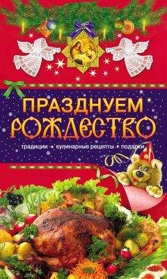 Таисия Левкина - Празднуем Рождество. Традиции, кулинарные рецепты, подарки - Читать | Читать онлайн | Читаемые книги читать онлайн бесплатно | booksread-online.com