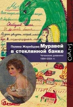 Полина Жеребцова - Муравей в стеклянной банке. Чеченские дневники 1994–2004 гг. - Читать 📖 Читать онлайн 👀 Читаемые книги читать онлайн бесплатно 🔥 booksread-online.com