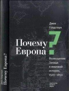 Джек Голдстоун - Почему Европа? Возвышение Запада в мировой истории, 1500-1850 - Читать 📖 Читать онлайн 👀 Читаемые книги читать онлайн бесплатно 🔥 booksread-online.com