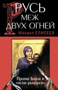 Михаил Елисеев - Русь меж двух огней – против Батыя и «псов-рыцарей» - Читать 📖 Читать онлайн 👀 Читаемые книги читать онлайн бесплатно 🔥 booksread-online.com