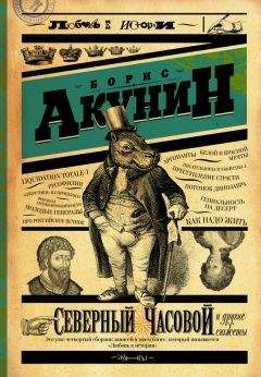 Борис Акунин - Северный Часовой и другие сюжеты - Читать 📖 Читать онлайн 👀 Читаемые книги читать онлайн бесплатно 🔥 booksread-online.com