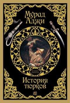 Мурад Аджи - История тюрков - Читать 📖 Читать онлайн 👀 Читаемые книги читать онлайн бесплатно 🔥 booksread-online.com