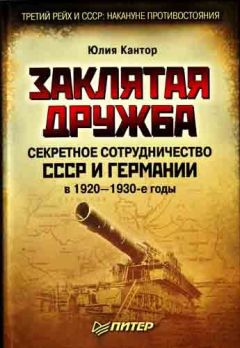 Юлия Кантор - Заклятая дружба. Секретное сотрудничество СССР и Германии в 1920-1930-е годы - Читать 📖 Читать онлайн 👀 Читаемые книги читать онлайн бесплатно 🔥 booksread-online.com