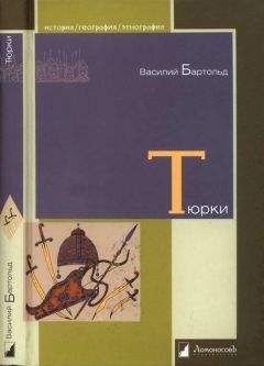 Василий Бартольд - Тюрки. Двенадцать лекций по истории тюркских народов Средней Азии - Читать | Читать онлайн | Читаемые книги читать онлайн бесплатно | booksread-online.com