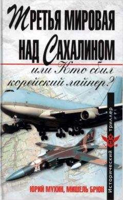 Юрий Мухин - Третья мировая над Сахалином, или кто сбил корейский лайнер? - Читать 📖 Читать онлайн 👀 Читаемые книги читать онлайн бесплатно 🔥 booksread-online.com