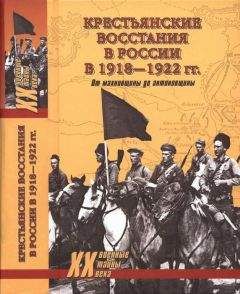 Петр Алешкин - Крестьянские восстания в России в 1918—1922 гг. От махновщины до антоновщины - Читать 📖 Читать онлайн 👀 Читаемые книги читать онлайн бесплатно 🔥 booksread-online.com