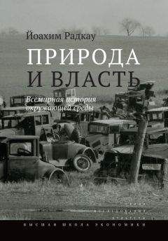 Йоахим Радкау - Природа и власть. Всемирная история окружающей среды - Читать | Читать онлайн | Читаемые книги читать онлайн бесплатно | booksread-online.com