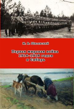 Михаил Шиловский - Первая мировая война 1914–1918 годов и Сибирь - Читать | Читать онлайн | Читаемые книги читать онлайн бесплатно | booksread-online.com